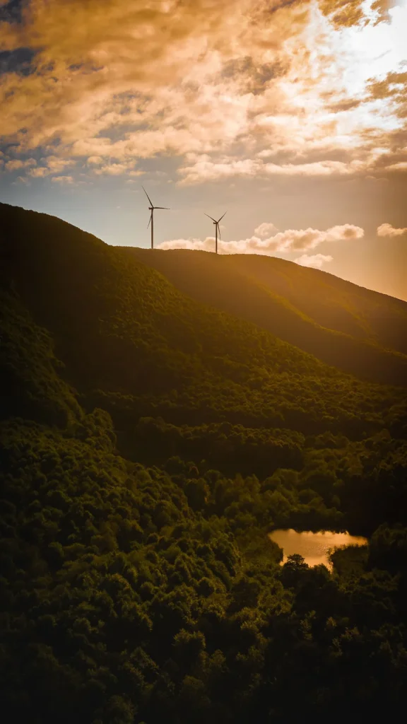 Ecologie